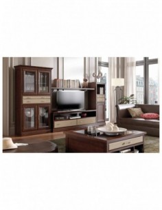 Salon comedor diseño...