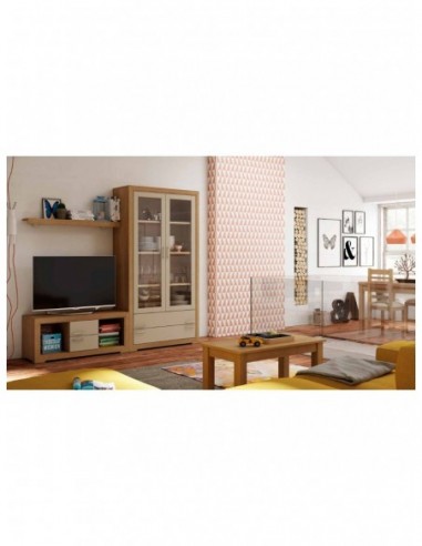 Salon diseño rustico colonial...