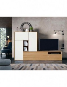 Conjuntos de salon moderno...