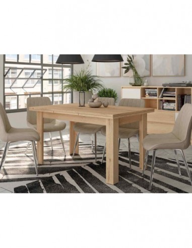 Mesas de centro comedor y sillas...