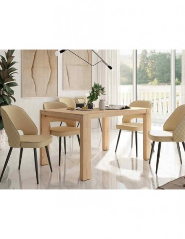 Mesas de centro comedor y sillas...