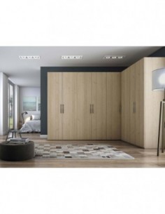 Armario puertas correderas...