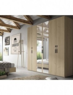 Armario puertas correderas...