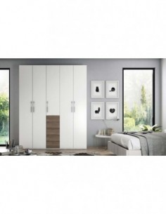 Armario puertas correderas...