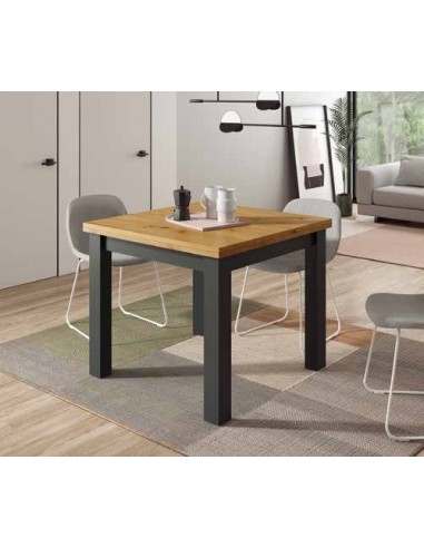 Mesas de comedor y centro elevables...