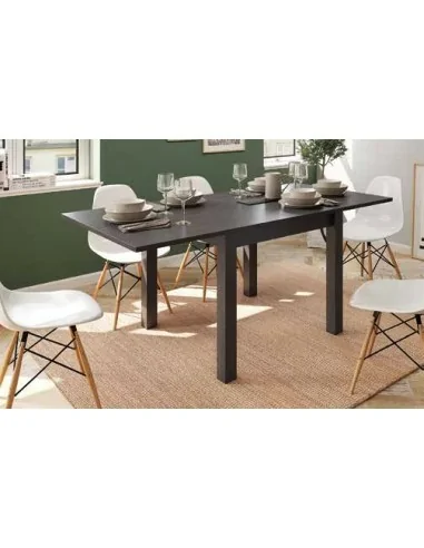 Mesas de comedor y mesas de centro elevables o finas con colores a juego con salon (16)