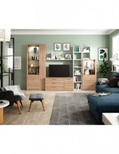Muebles de salon diseño...