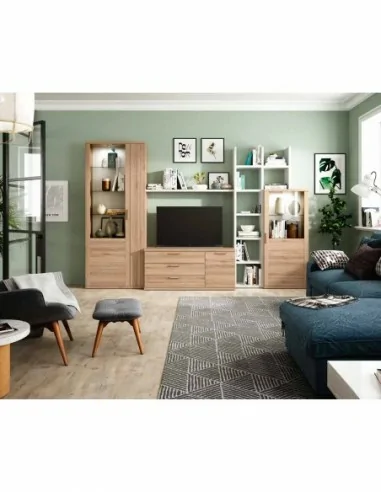 Muebles de salon diseño nordico modular diseño vitrinas paradores mezcla de colores madera (11)