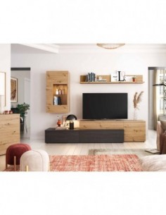 Muebles de salon diseño...