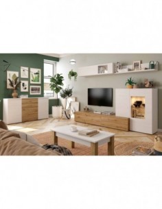 Muebles de salon diseño...