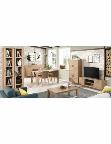 Muebles de salon diseño nordico modular diseño vitrinas paradores mezcla de colores madera (8)