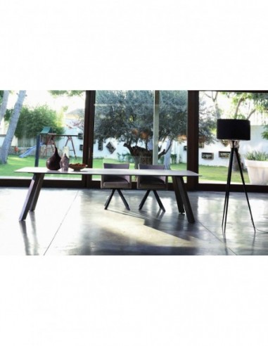 Conjunto de Sillas y Mesas Elegantes...