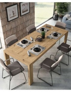 Muebles de Salón estilo...