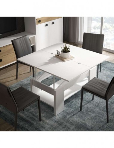 Muebles de Salón estilo Romántico-38