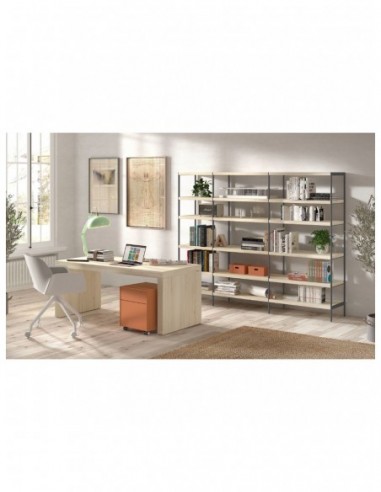 Modelo de estantería con costados...