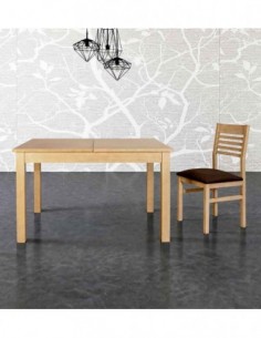 Mesa de Salon Modelo Trans