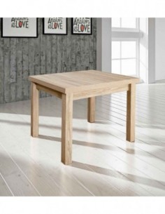 Mesa de Salon Modelo Bones