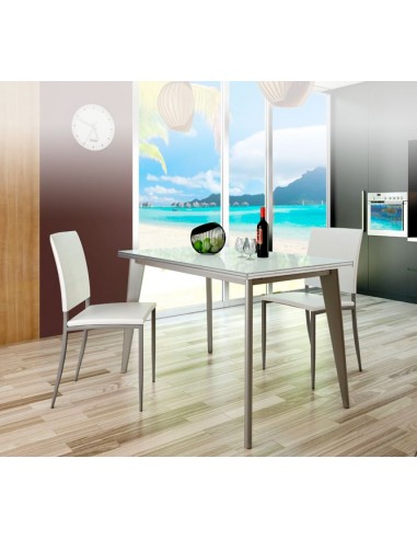 Mesa de Aluminio Extensible de 110x70...