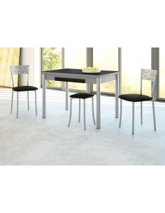 Silla de Aluminio con...