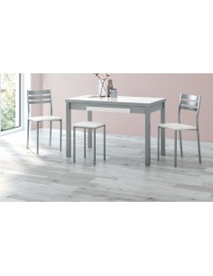 Silla de Aluminio con...