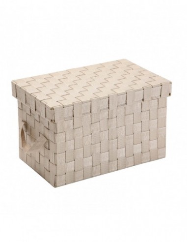 CAJA BEIGE CON TAPA NALI P