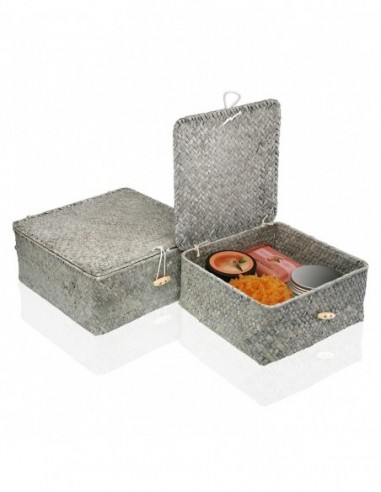 SET 2 CESTAS C/TAPA GRIS