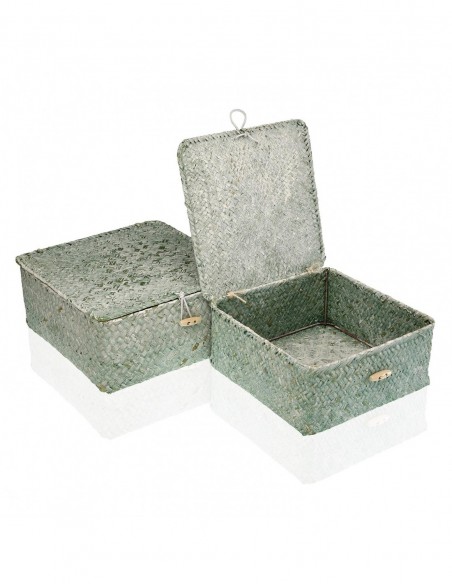 SET 2 CESTAS C/TAPA VERDE
