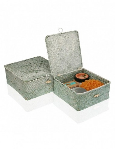 SET 2 CESTAS C/TAPA VERDE