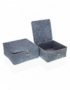SET 2 CESTAS C/TAPA AZUL