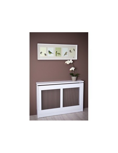 Cubre radiador Senna