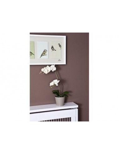 Cubre radiador Senna