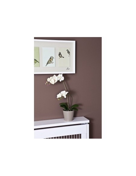 Cubre radiador Senna