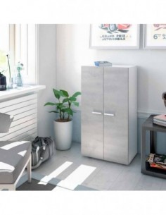 Armario Zapatero 2 Puertas