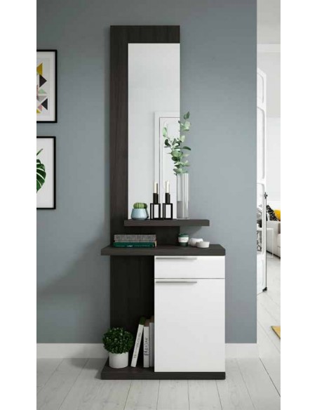 Recibidor Diseño Elegante Blanco y Wengu