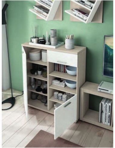 Alacenas y Vitrinas (5)