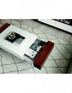 Mesa de Centro (10)