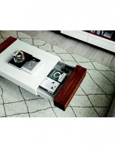 Mesa de Centro (10)