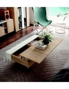 Mesa de Centro (13)