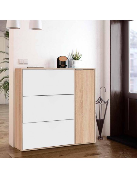 Zapatero 3 Puertas + Puerta Vertical Cambrian y Blanco