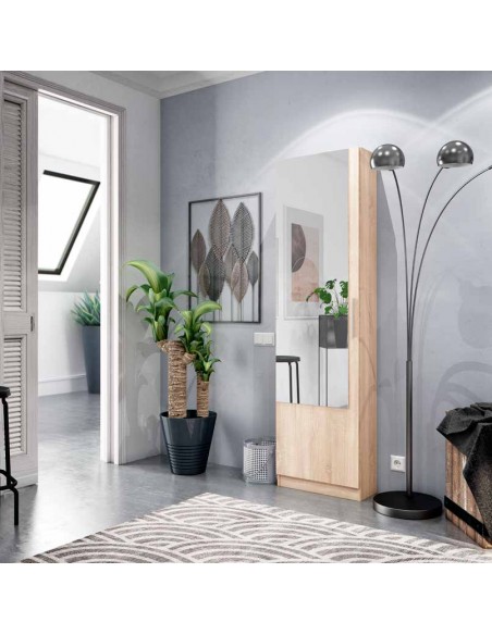 Zapatero 1 Puerta + Espejo + Varillas cambrian