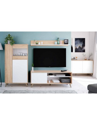 Mueble TV de 1 Puerta + Estante Superior