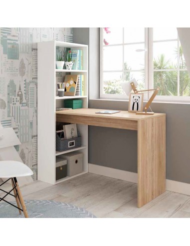 Escritorio + Estantería Reversible...