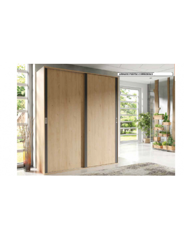 Armario 2 Puertas Correderas Modelo...