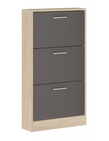 Zapatero 3 Puertas Modelo Brest Zapatero 3 Puertas Modelo Brest