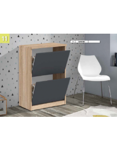 Zapatero 2 Puertas Modelo Caen