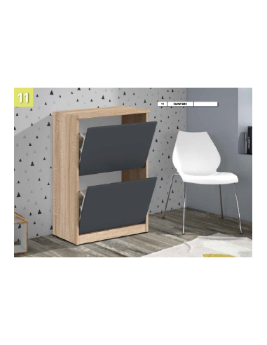 Zapatero 2 Puertas Modelo Caen Zapatero 2 Puertas Modelo Caen