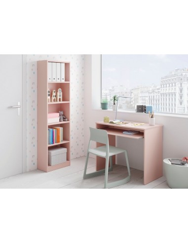 Estanteria Juvenil de 5 Baldas Rosa