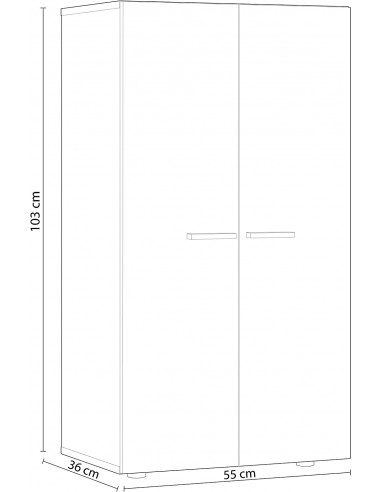 Armario Zapatero 2 Puertas