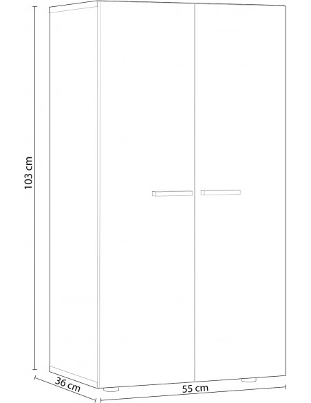 Armario Zapatero 2 Puertas