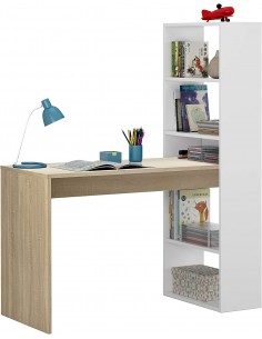Escritorio + Estantería... 2